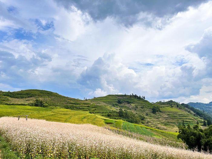 Những 'miền thảo nguyên xanh' ở Việt Nam khiến du khách lưu luyến từ cái nhìn đầu tiên