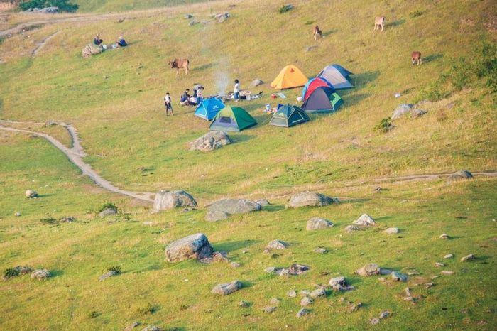 Những 'miền thảo nguyên xanh' ở Việt Nam khiến du khách lưu luyến từ cái nhìn đầu tiên