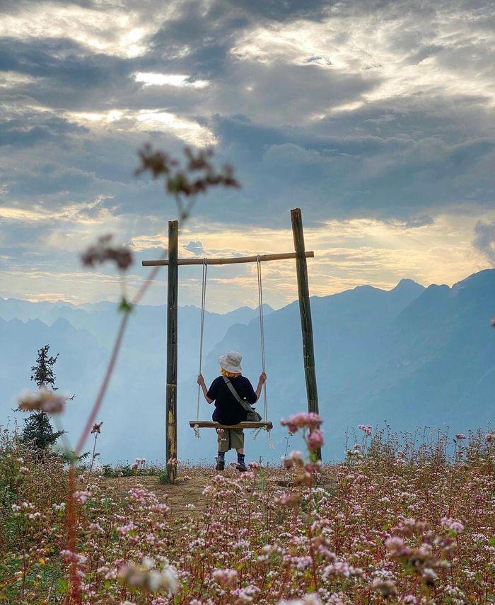 Những 'miền thảo nguyên xanh' ở Việt Nam khiến du khách lưu luyến từ cái nhìn đầu tiên