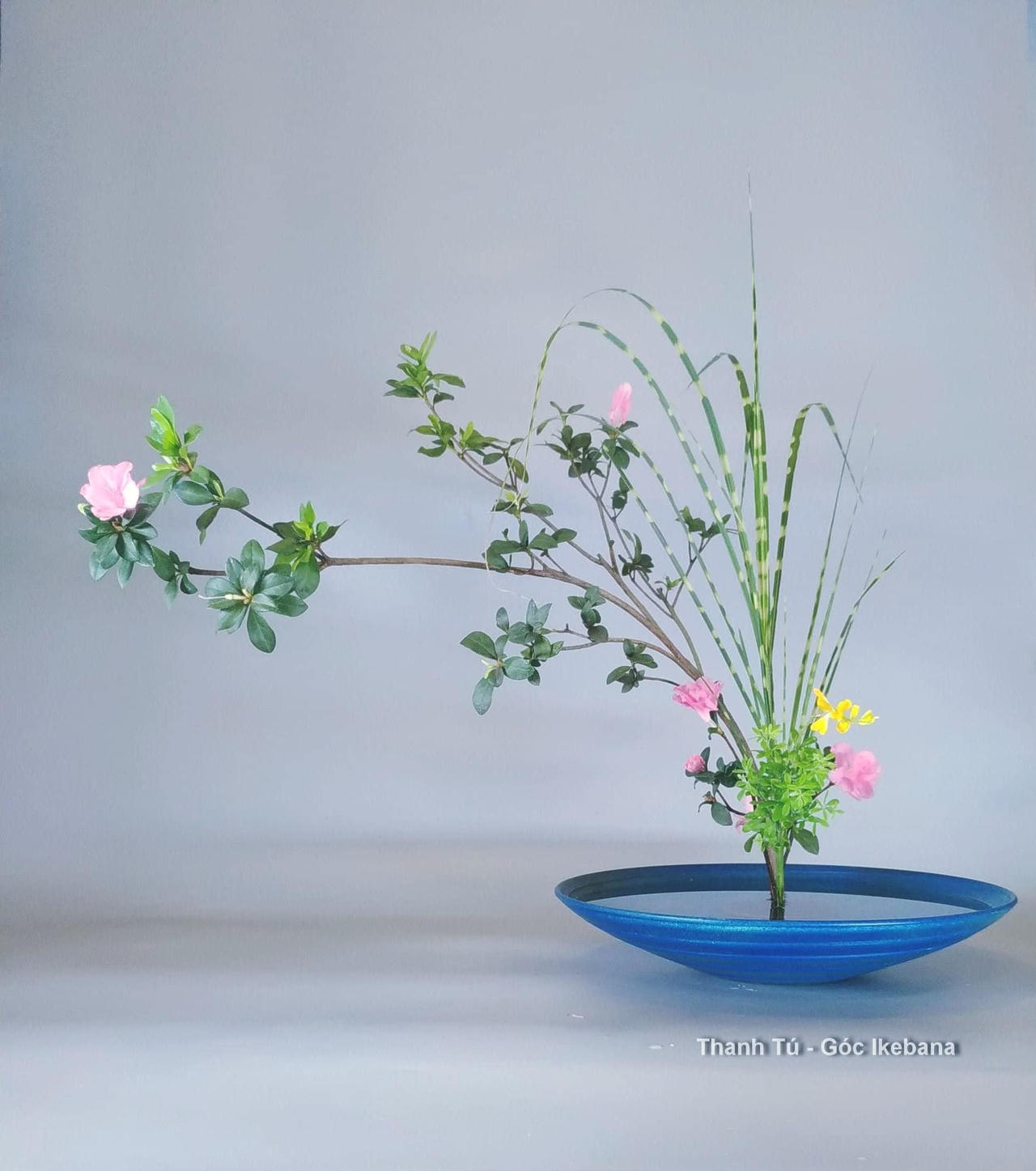 Ikebana - thông điệp về sự sống quý giá