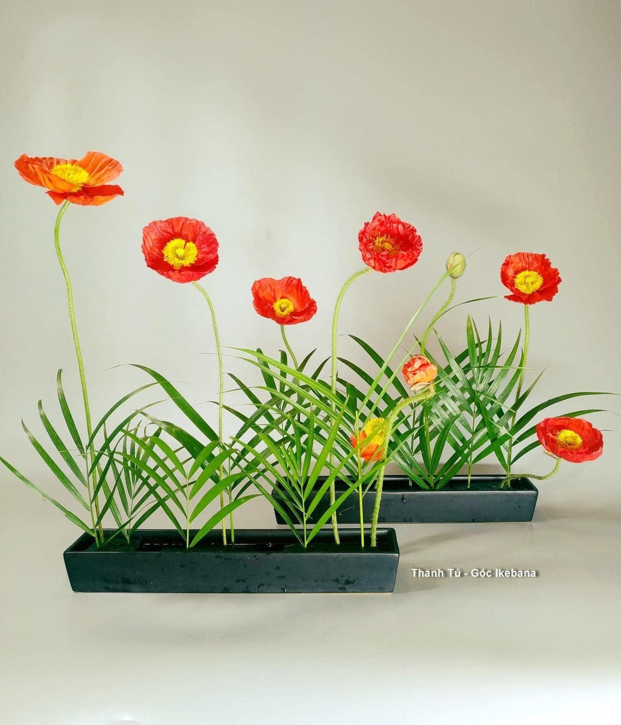 Ikebana - thông điệp về sự sống quý giá
