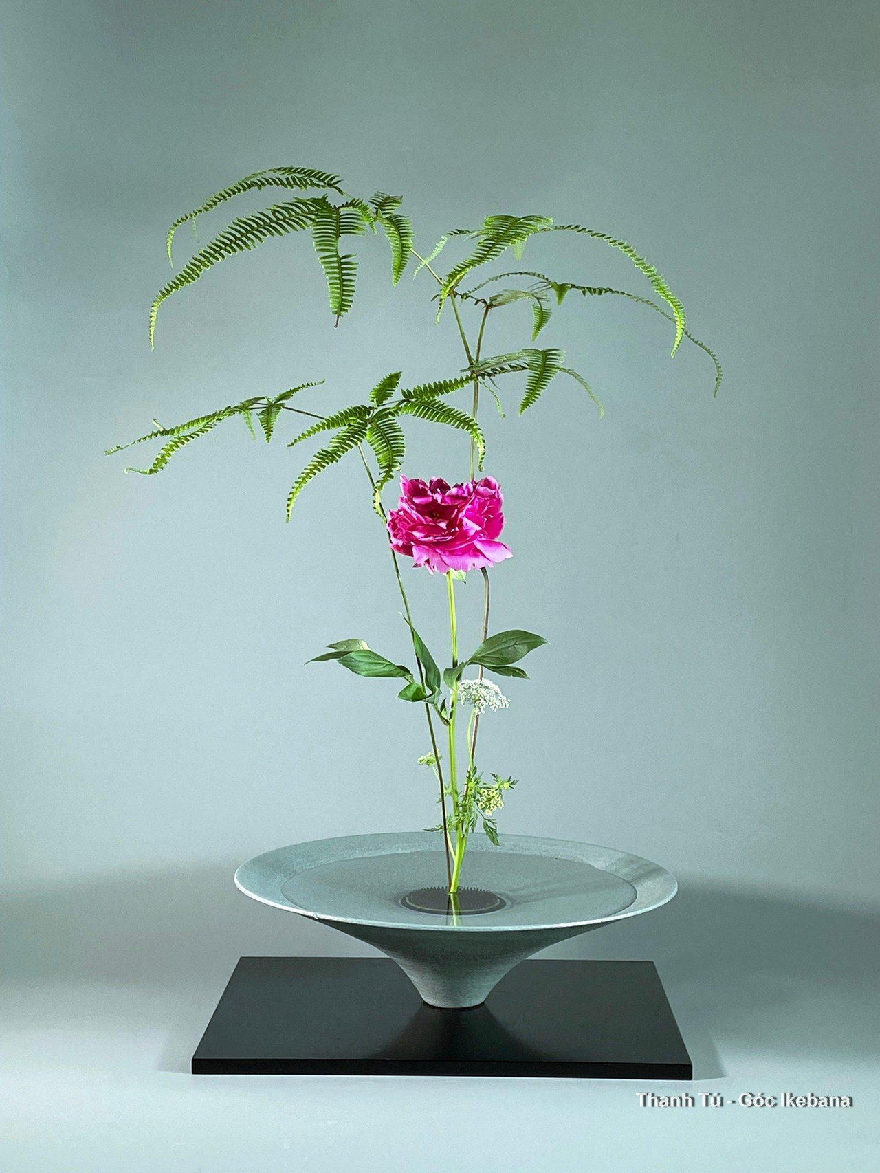Ikebana - thông điệp về sự sống quý giá