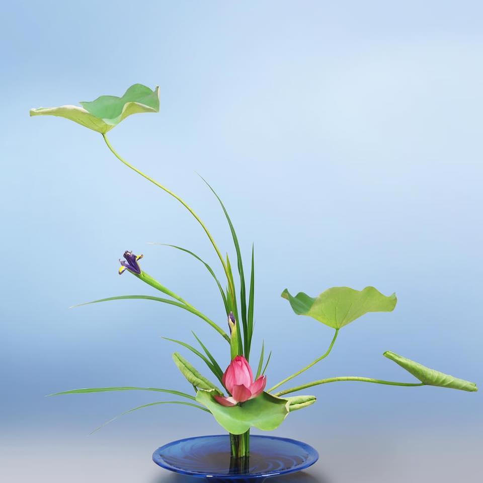 Ikebana - thông điệp về sự sống quý giá