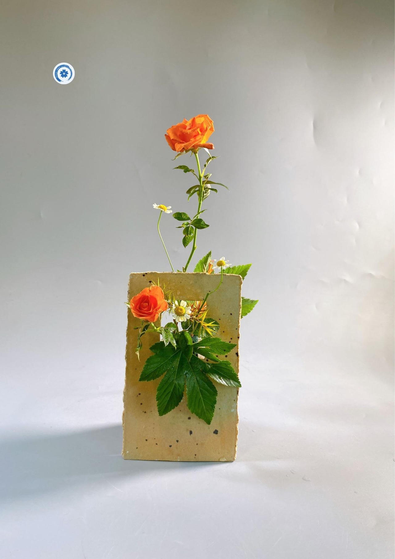 Ikebana - thông điệp về sự sống quý giá