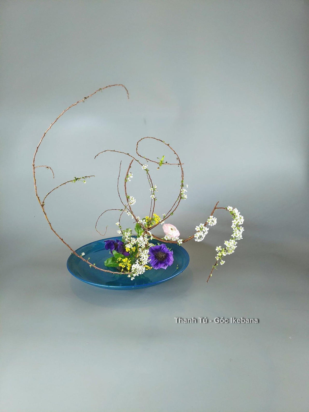 Ikebana - thông điệp về sự sống quý giá