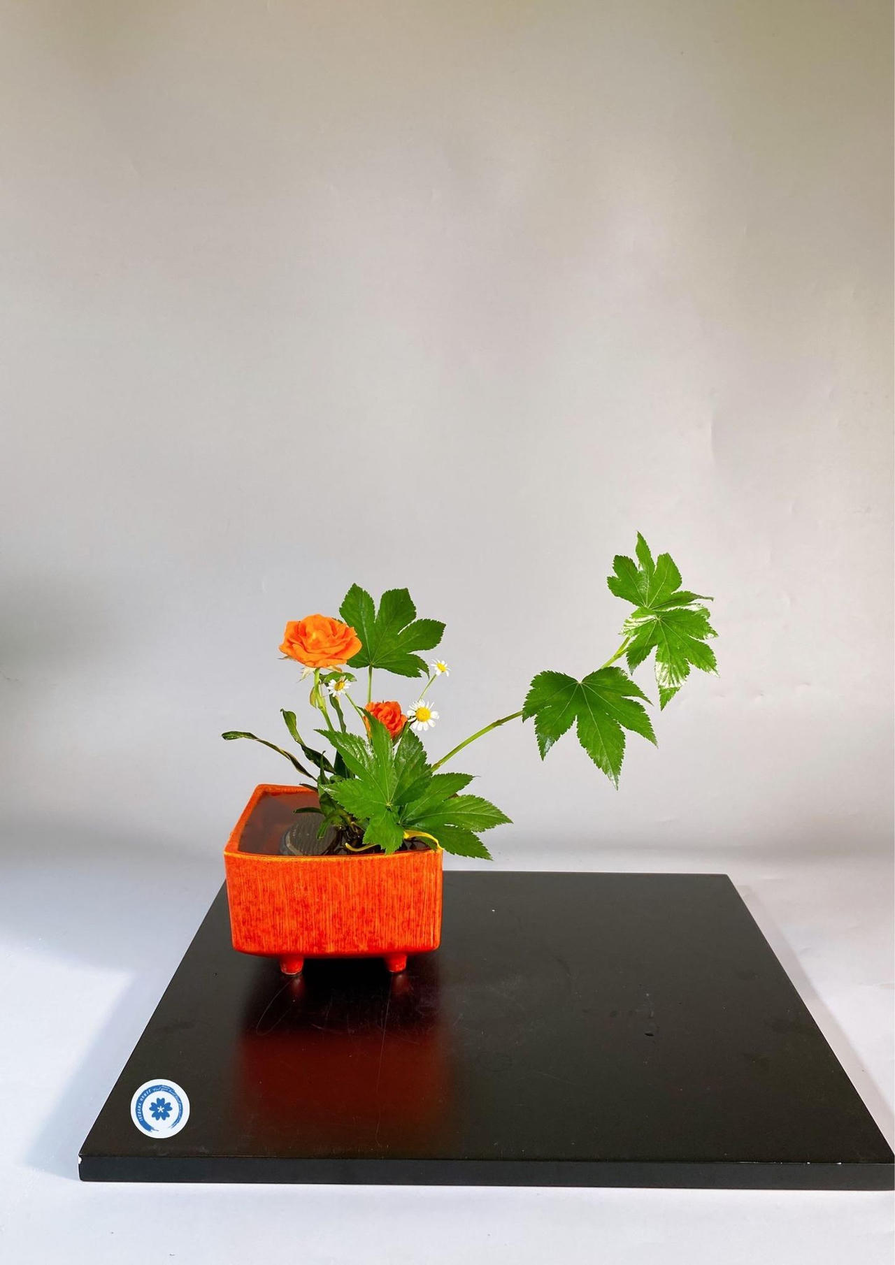 Ikebana - thông điệp về sự sống quý giá