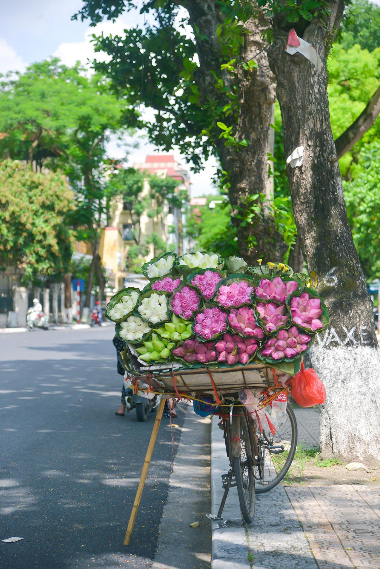 Du lịch Thủ đô “cất cánh” và mong mỏi của du khách phương xa