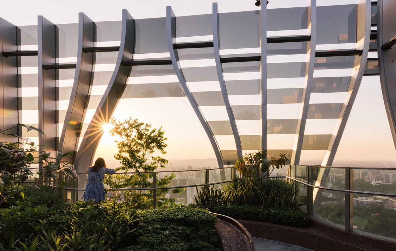 Khu vườn thẳng đứng mát mắt trong tòa tháp cao thứ 2 của Singapore