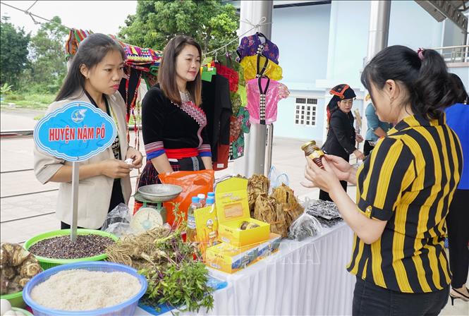 Quốc gia khởi nghiệp không thể thiếu sự đóng góp của phụ nữ 