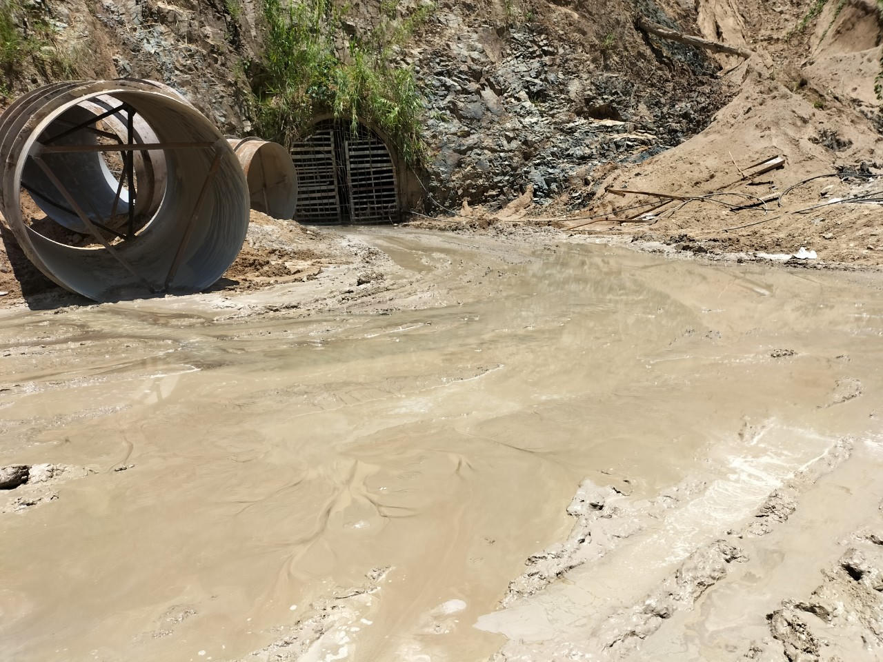 Bài 3: Dấu hiệu xâm hại rừng của thủy điện Phìn Hồ 2: Vì sao từ cấp huyện đến cấp sở đều né tránh? 