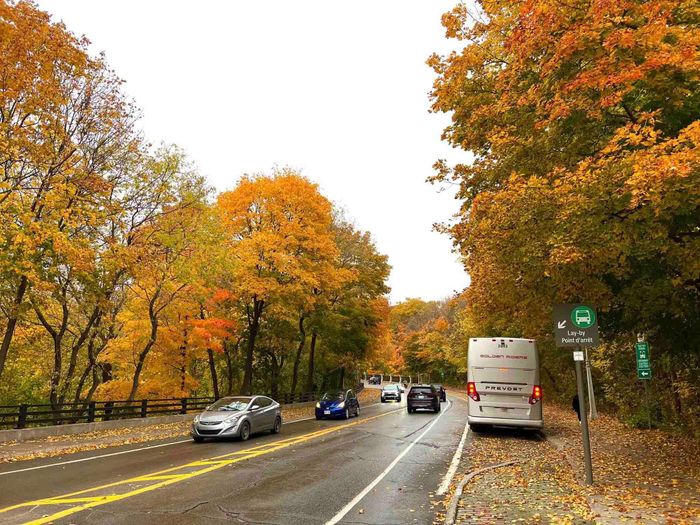 Ngẩn ngơ sắc Thu vàng ở các nước trên thế giới