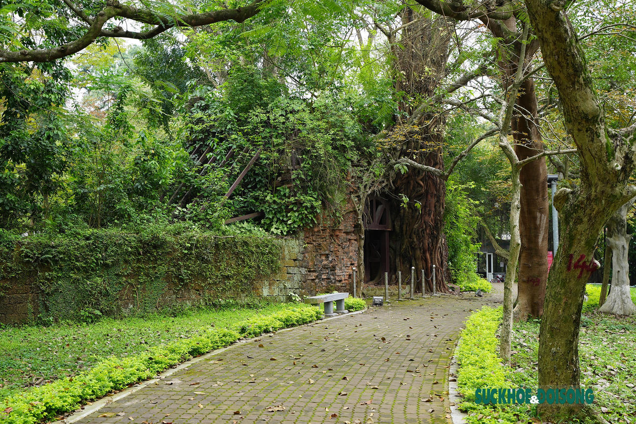 Vẻ đẹp cổ kính của tòa thành đá ong duy nhất ở Việt Nam