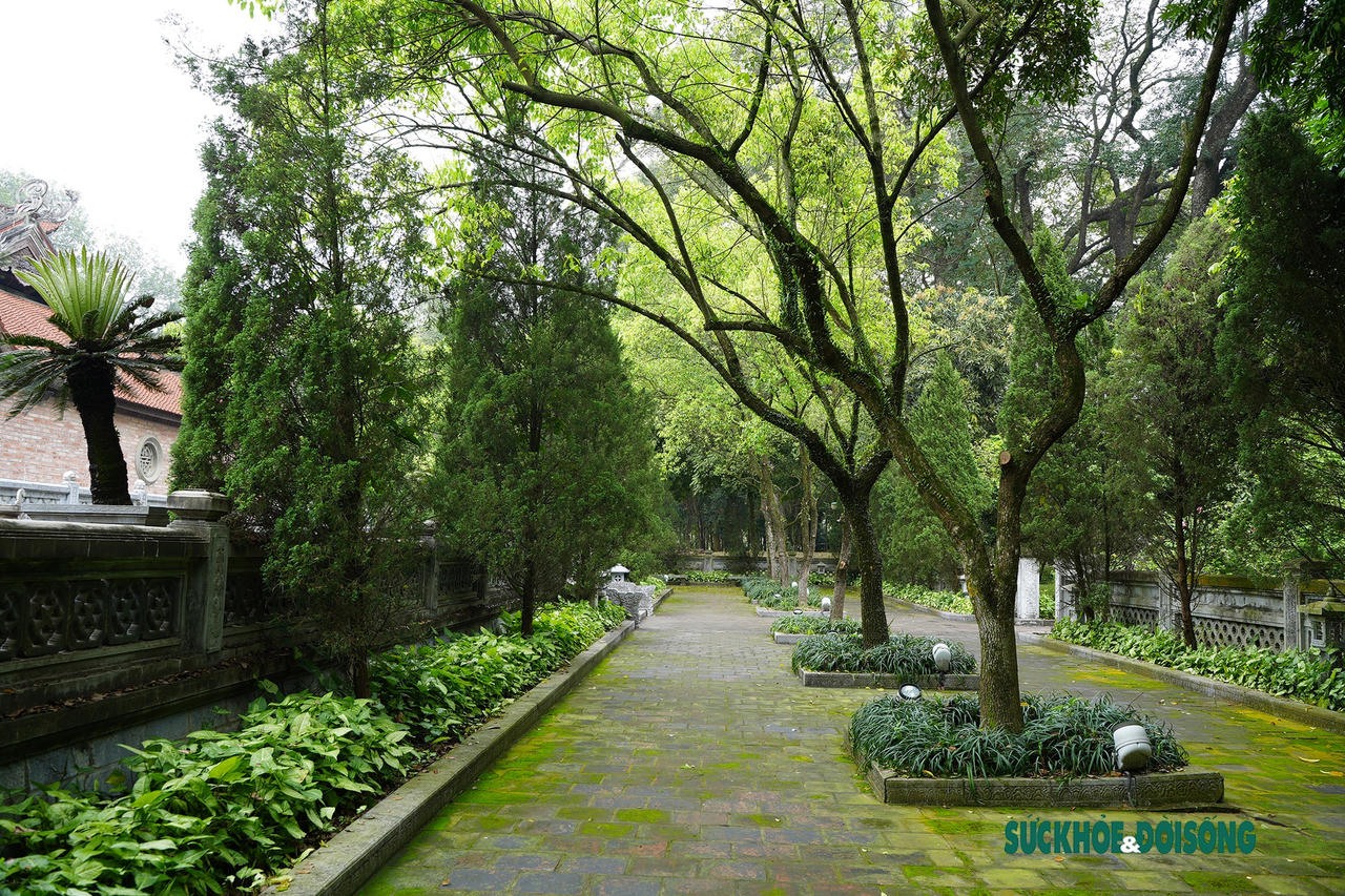 Vẻ đẹp cổ kính của tòa thành đá ong duy nhất ở Việt Nam