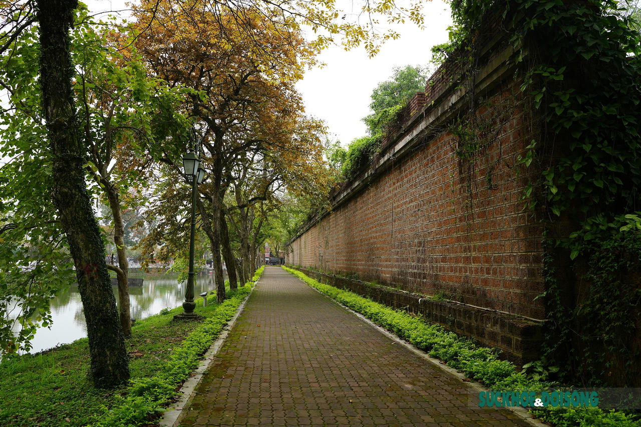 Vẻ đẹp cổ kính của tòa thành đá ong duy nhất ở Việt Nam