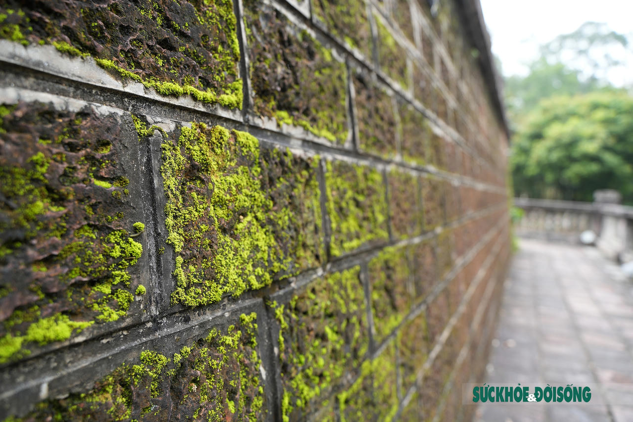 Vẻ đẹp cổ kính của tòa thành đá ong duy nhất ở Việt Nam