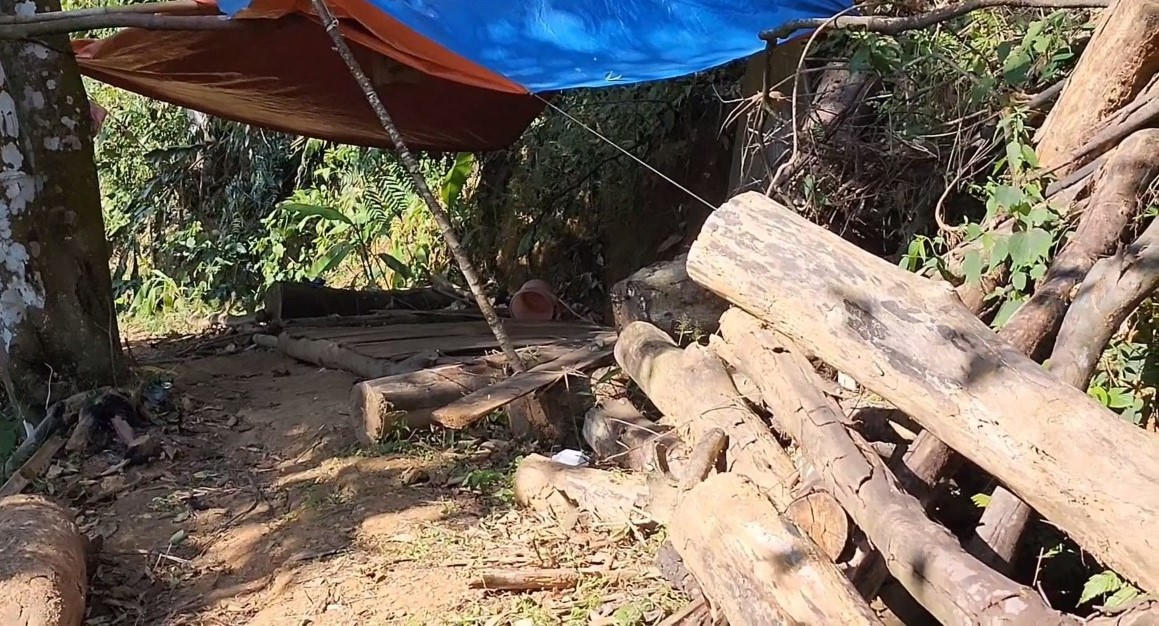 Bắc Kạn: Điều tra vụ việc phá nhiều ha rừng tại Chợ Đồn