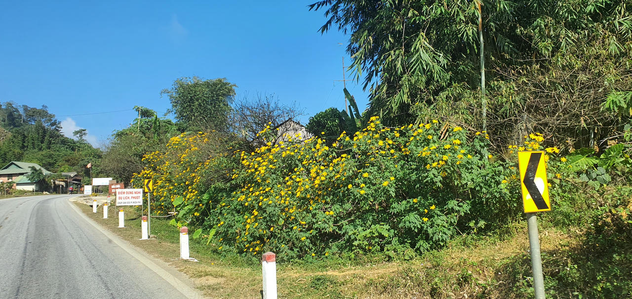 Trên cung đường đẹp như lụa ngọc trai đến Mộc Châu 