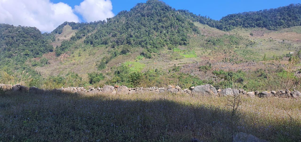 Trên cung đường đẹp như lụa ngọc trai đến Mộc Châu 