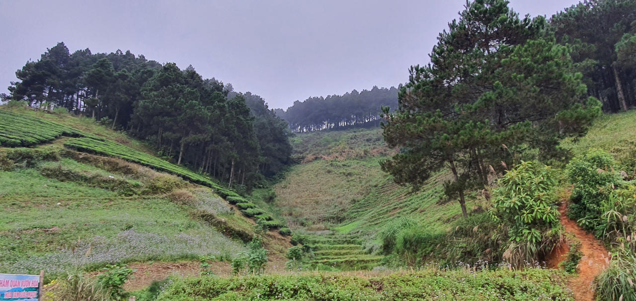 Trên cung đường đẹp như lụa ngọc trai đến Mộc Châu 