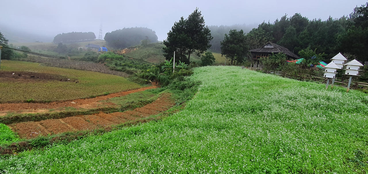 Trên cung đường đẹp như lụa ngọc trai đến Mộc Châu 