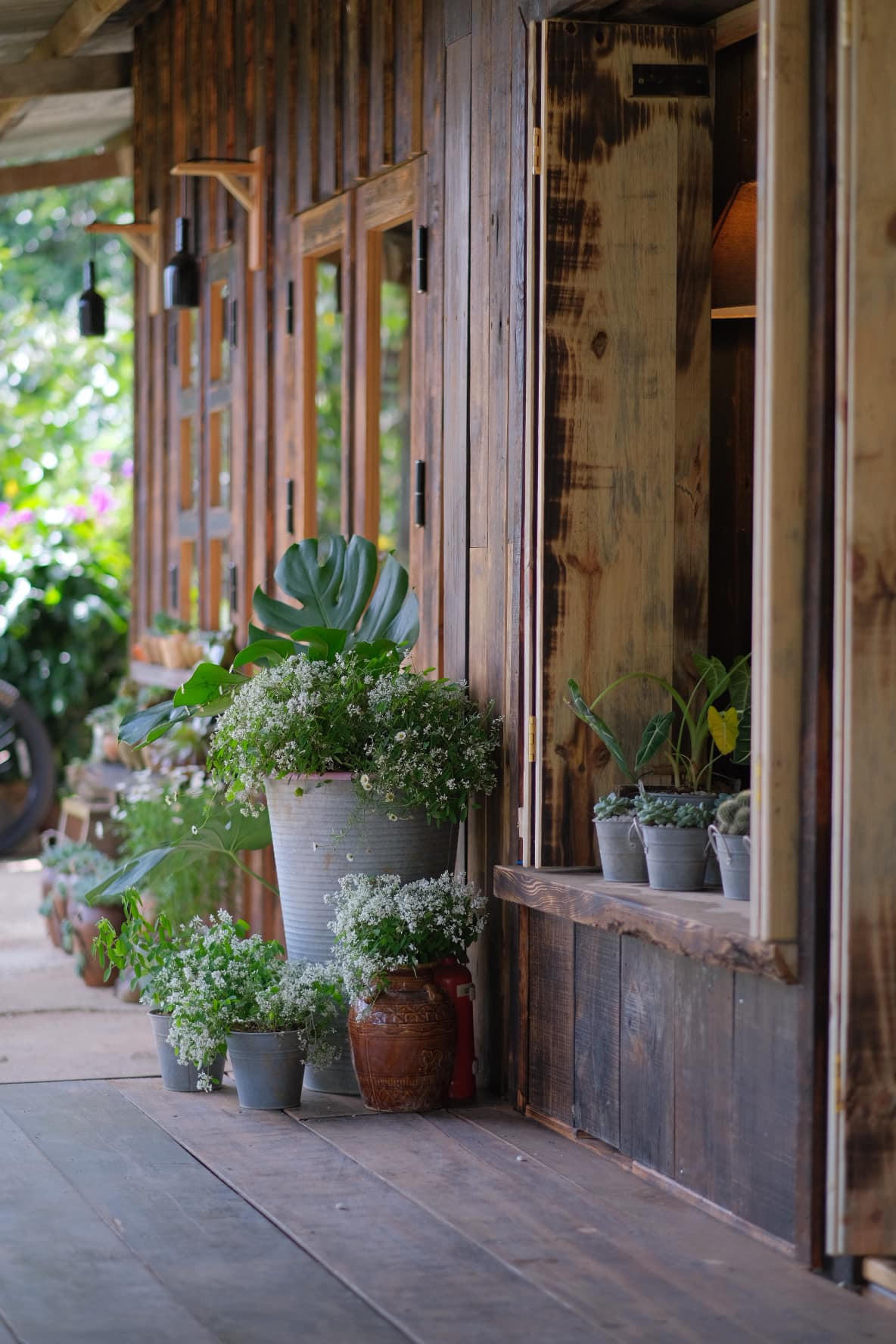 Ngôi nhà gỗ đẹp như cổ tích giữa hoa cỏ và mây trời ở Đà lạt