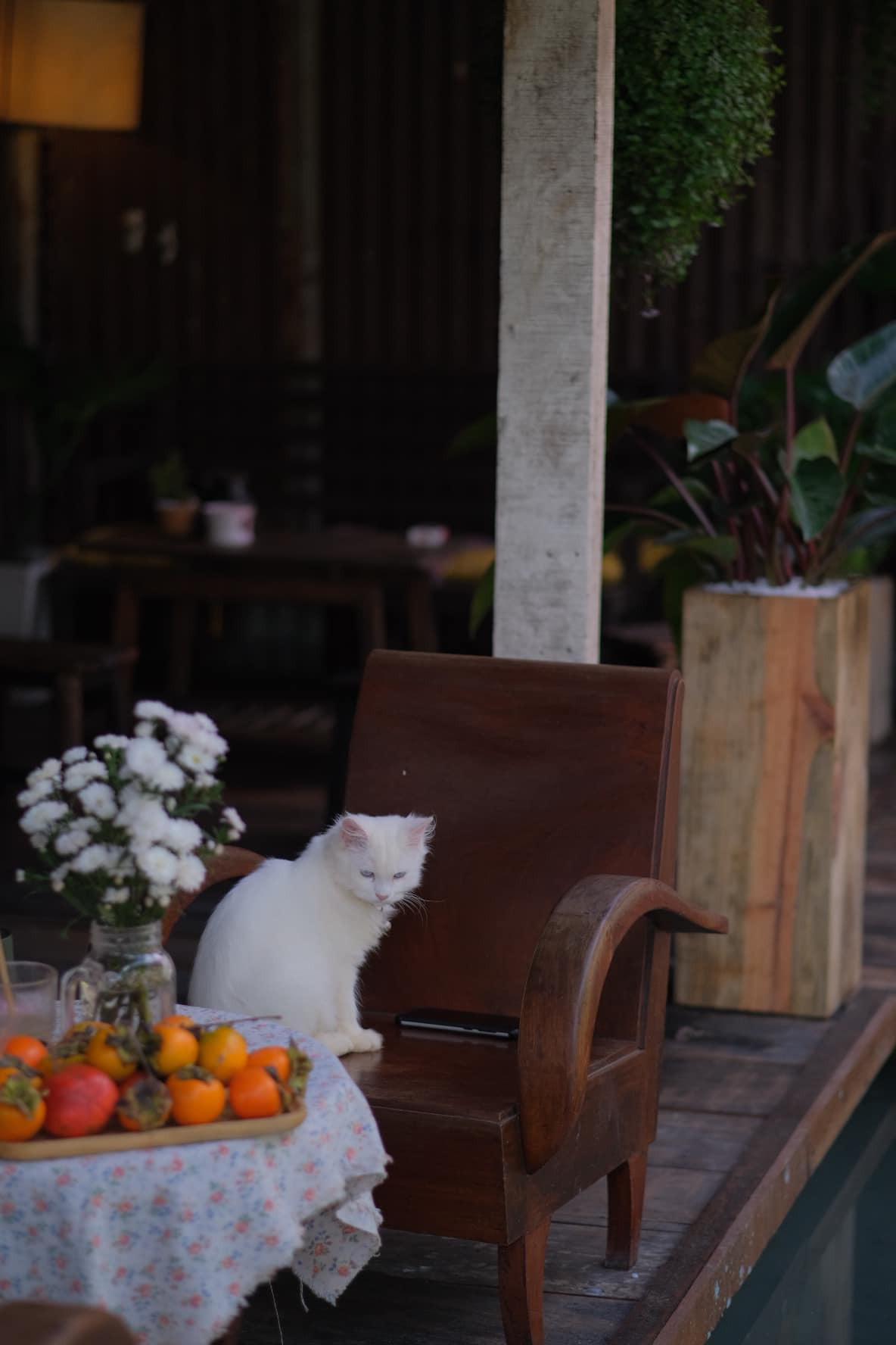 Ngôi nhà gỗ đẹp như cổ tích giữa hoa cỏ và mây trời ở Đà lạt