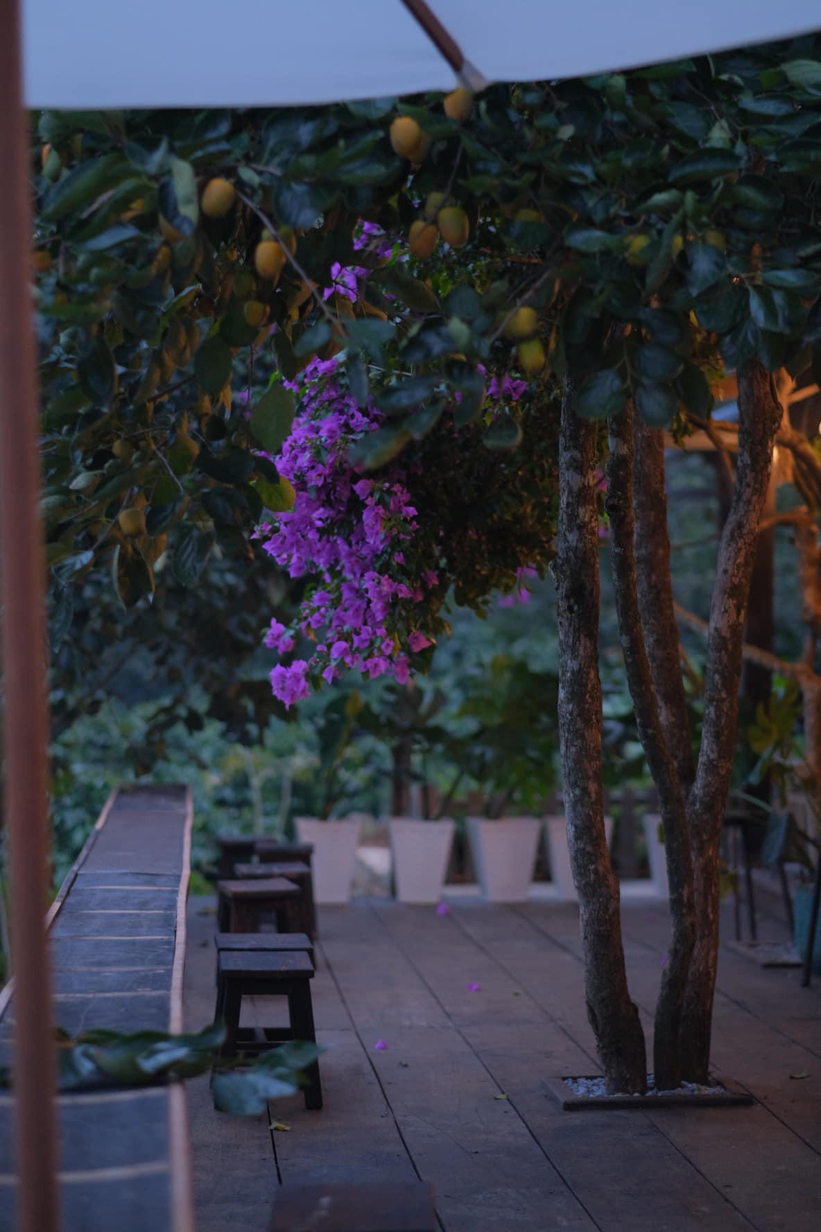 Ngôi nhà gỗ đẹp như cổ tích giữa hoa cỏ và mây trời ở Đà lạt