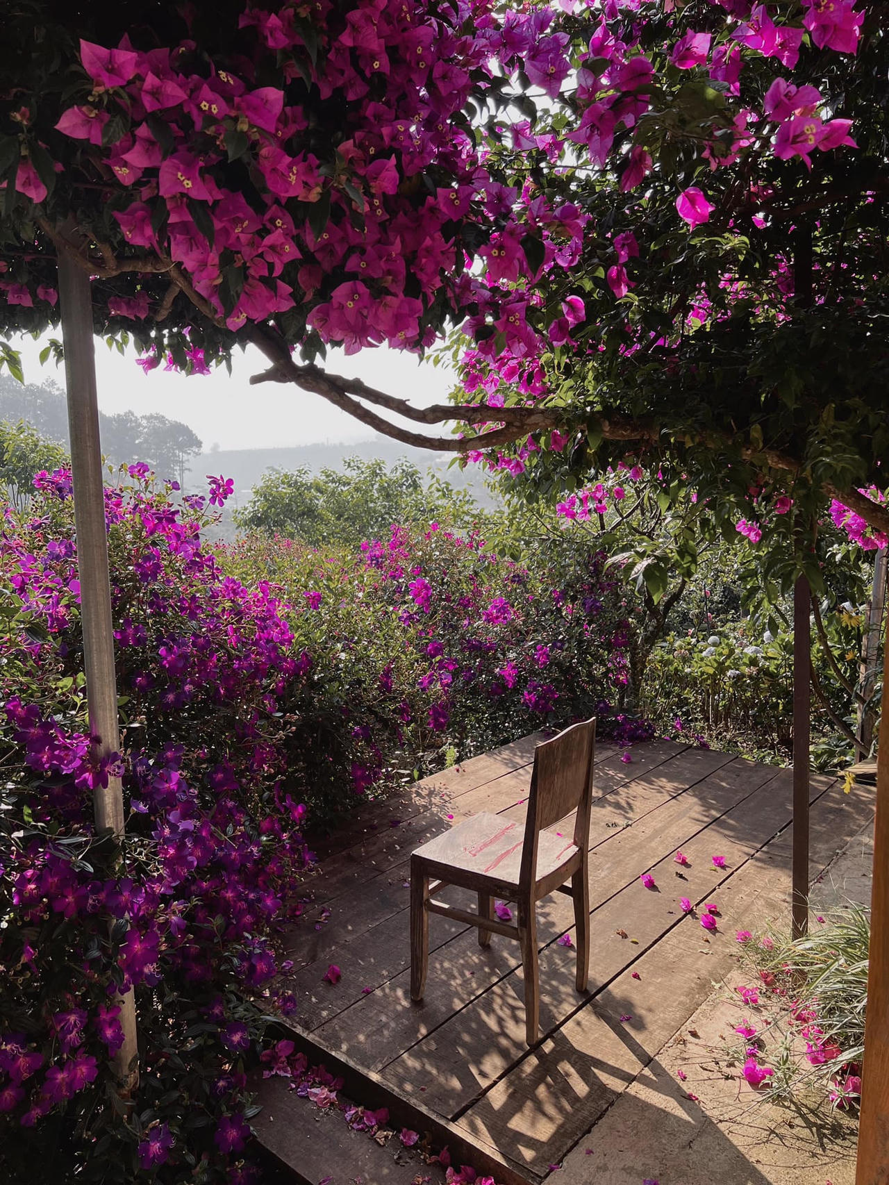 Ngôi nhà gỗ đẹp như cổ tích giữa hoa cỏ và mây trời ở Đà lạt