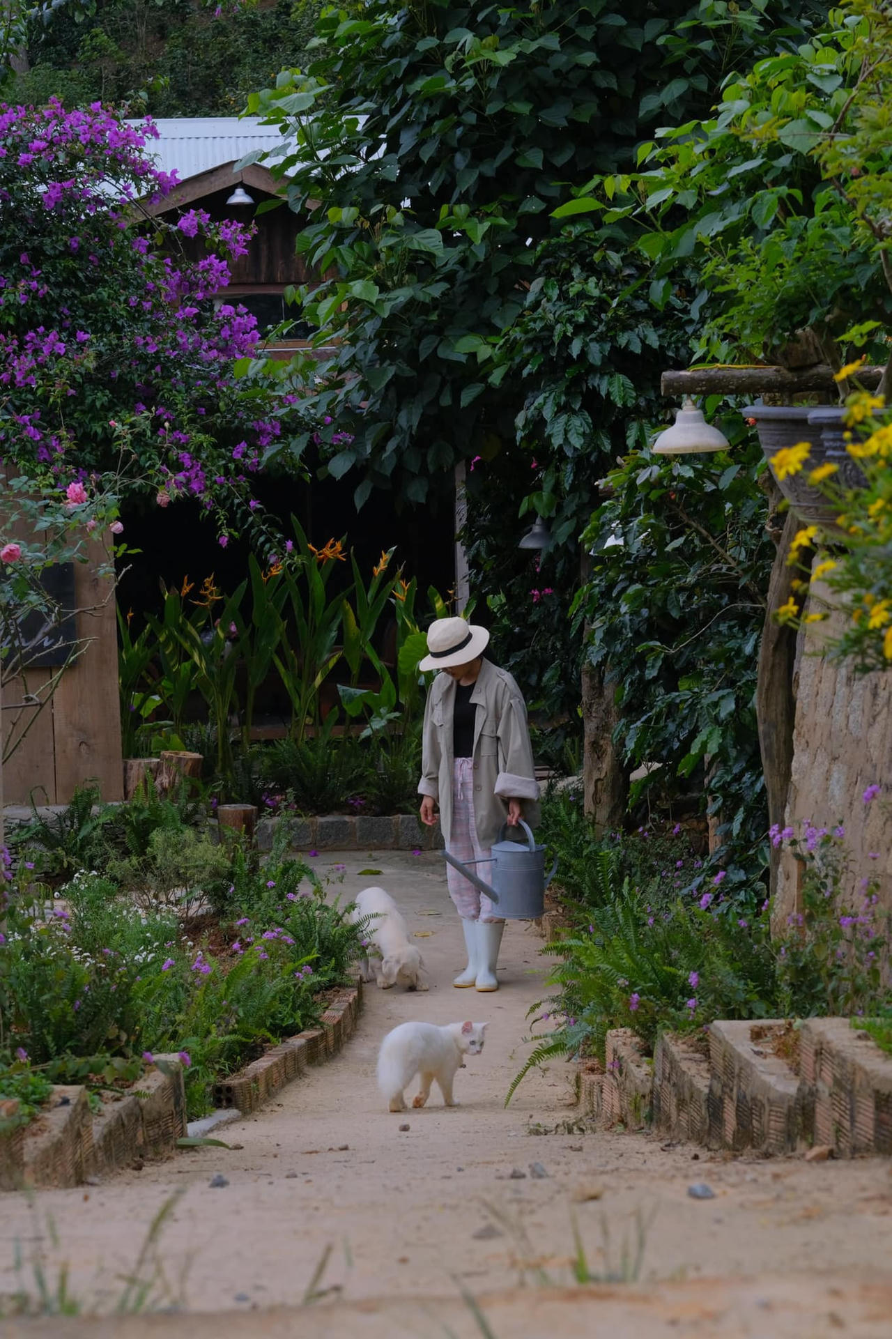 Ngôi nhà gỗ đẹp như cổ tích giữa hoa cỏ và mây trời ở Đà lạt