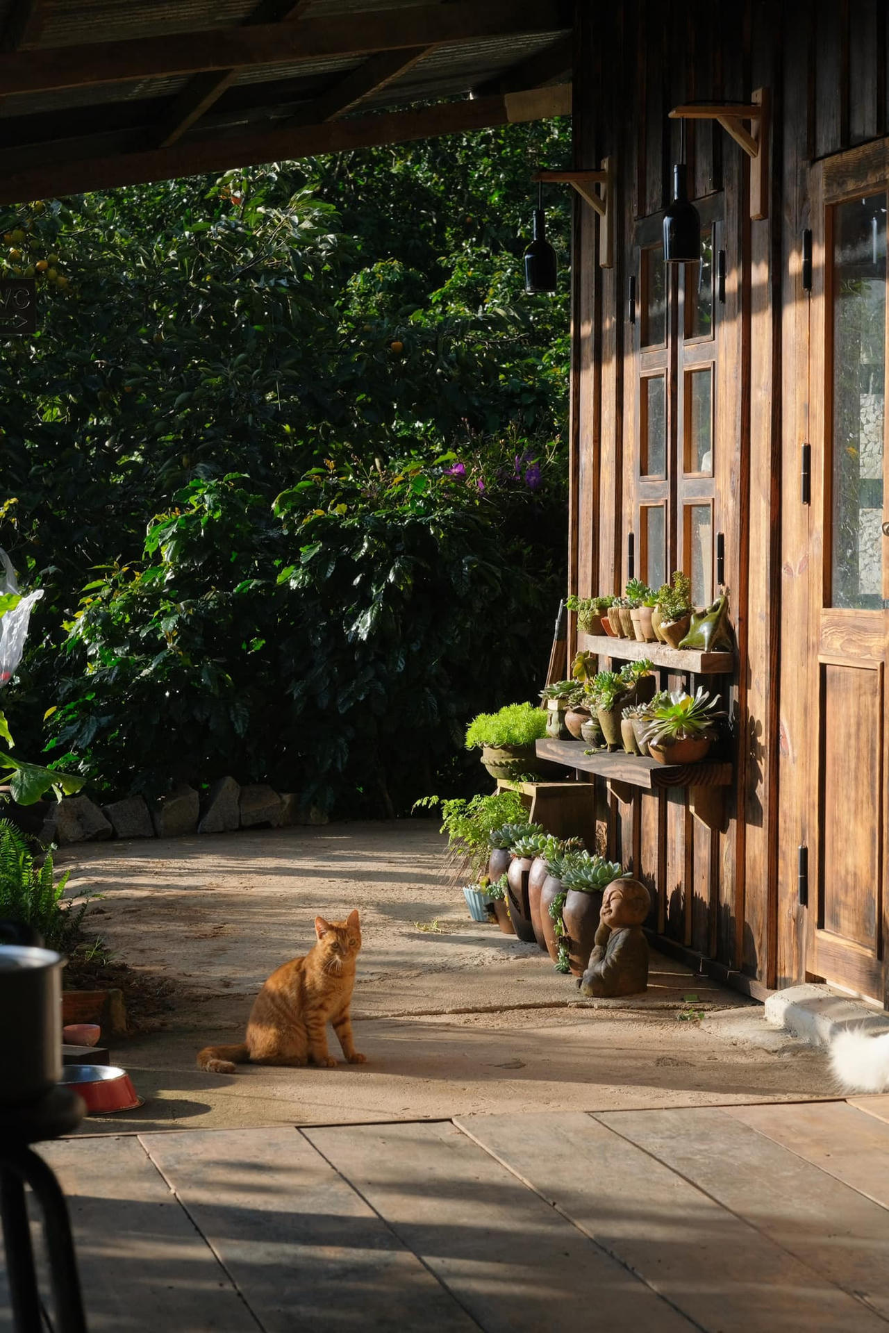 Ngôi nhà gỗ đẹp như cổ tích giữa hoa cỏ và mây trời ở Đà lạt