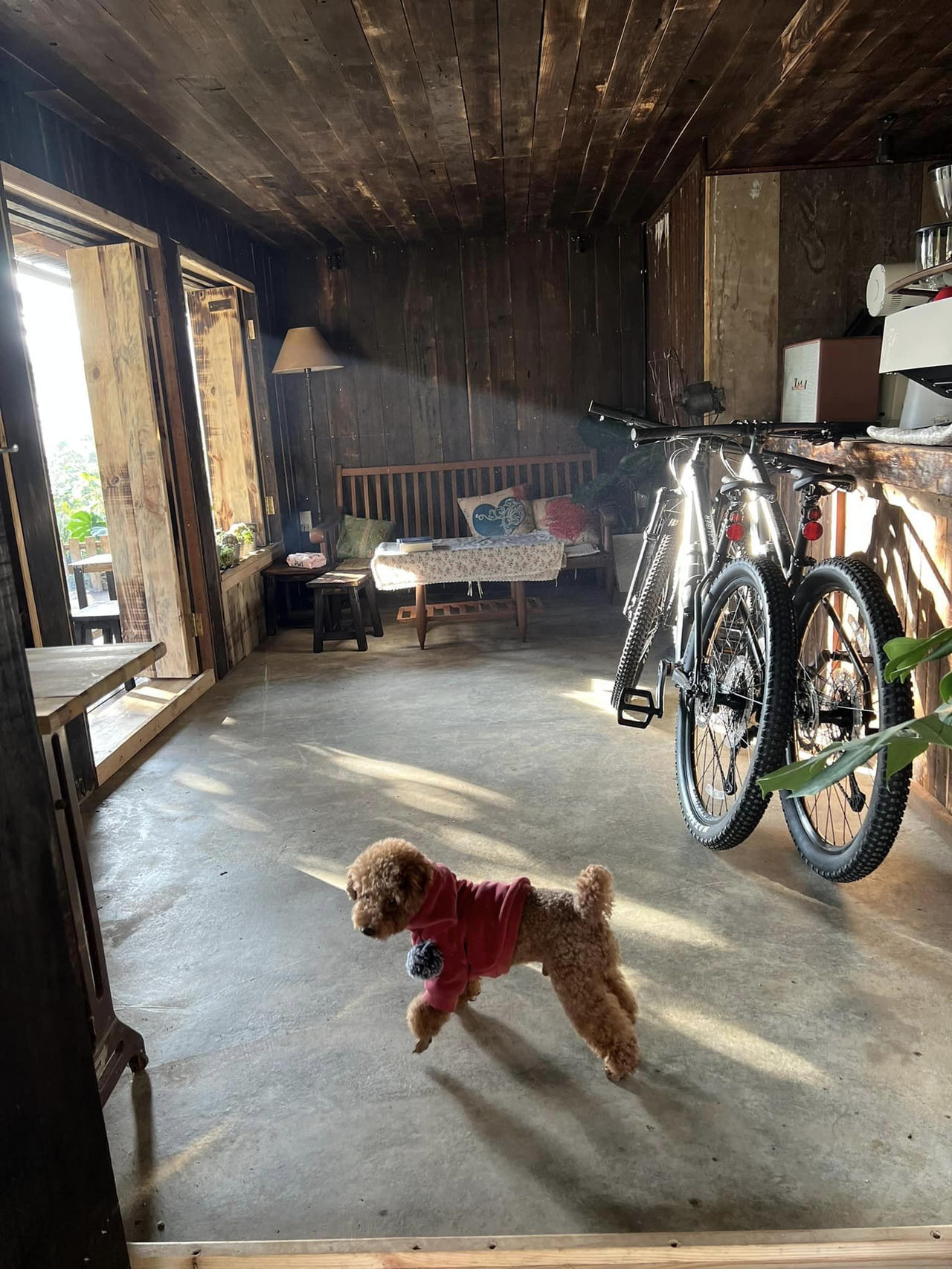 Ngôi nhà gỗ đẹp như cổ tích giữa hoa cỏ và mây trời ở Đà lạt