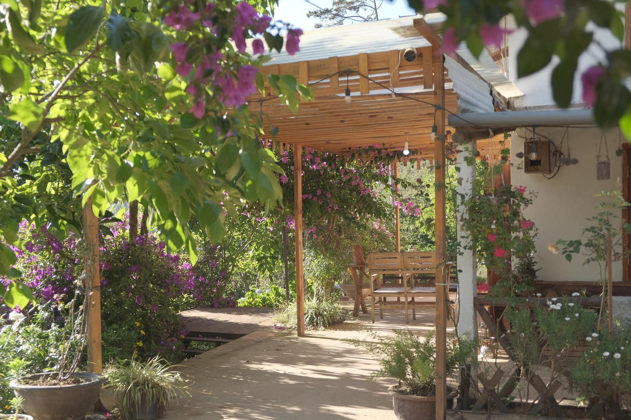 Ngôi nhà gỗ đẹp như cổ tích giữa hoa cỏ và mây trời ở Đà lạt