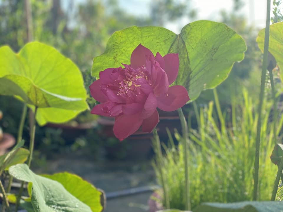 Những hoàn cảnh giúp ta liễu ngộ kiếp nhân sinh