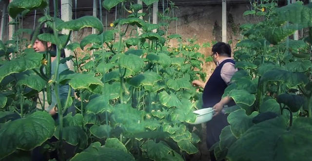 Làm giàu ở đâu không quan trọng, quan trọng là bạn muốn làm giàu hay không