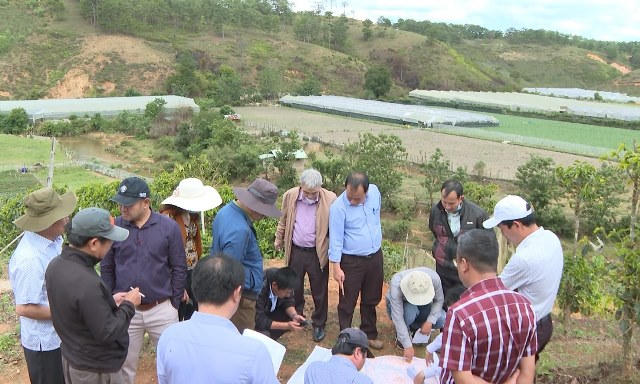 Lạc Dương, Lâm Đồng: Sai phạm trong cấp “sổ đỏ” với khu vực dự kiến có dự án