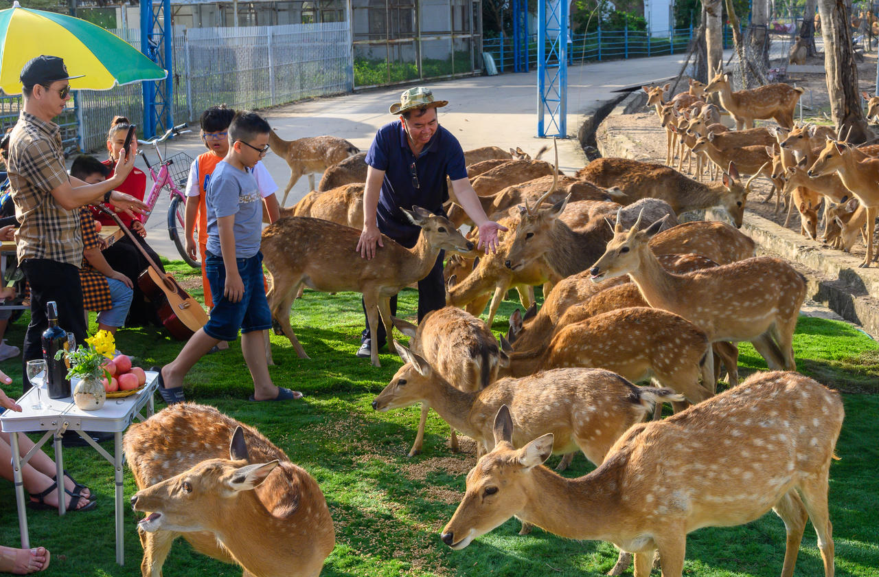 Các điểm vui chơi ven TP Hồ Chí Minh sẵn sàng đón khách