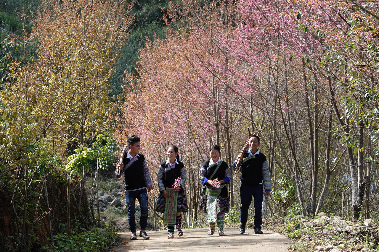 Sắc xuân trên “nấc thang thiên đường” Mù Cang Chải