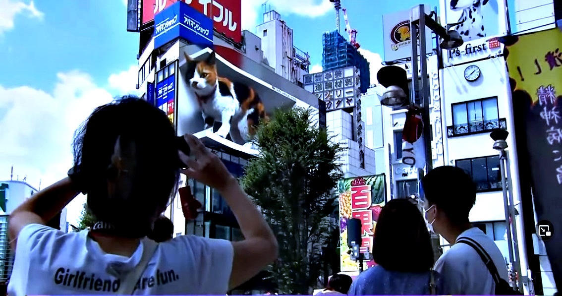 Con mèo được yêu thích nhất