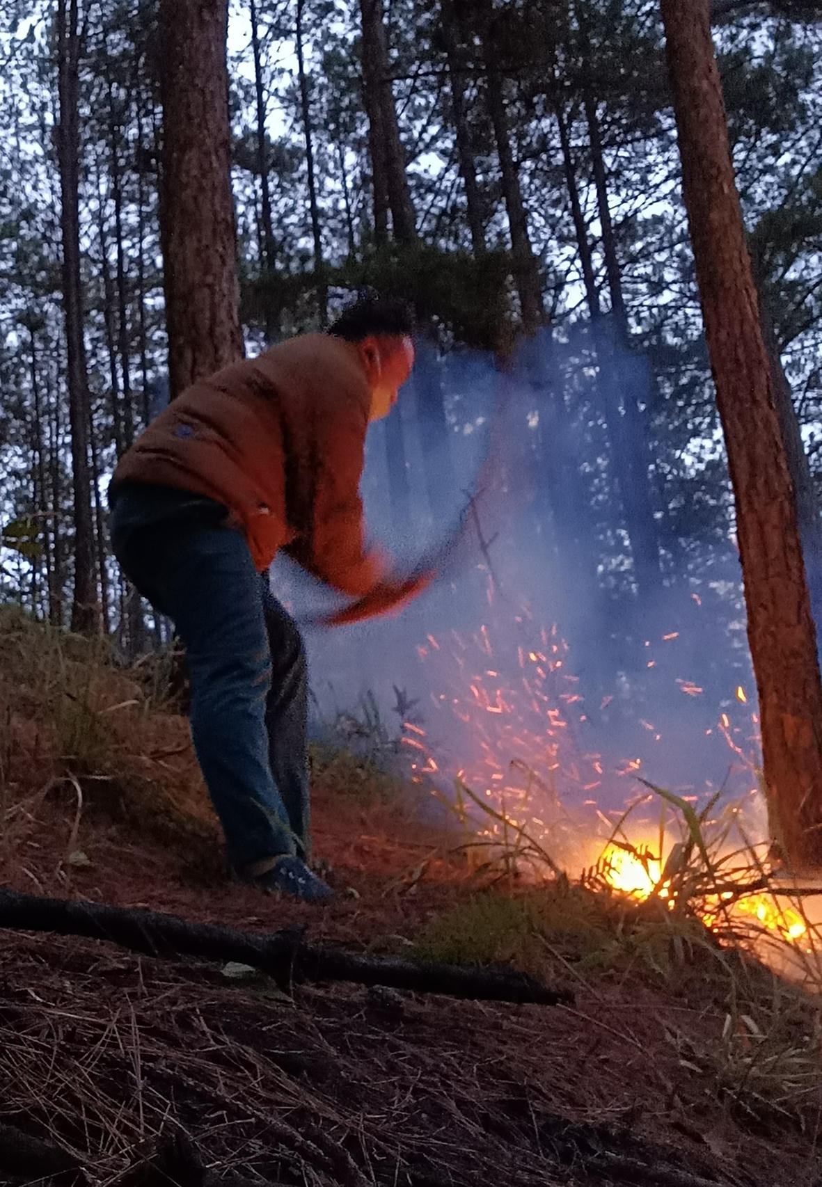 Lâm Đồng: Tăng cường dự báo, chủ động phòng chống cháy rừng