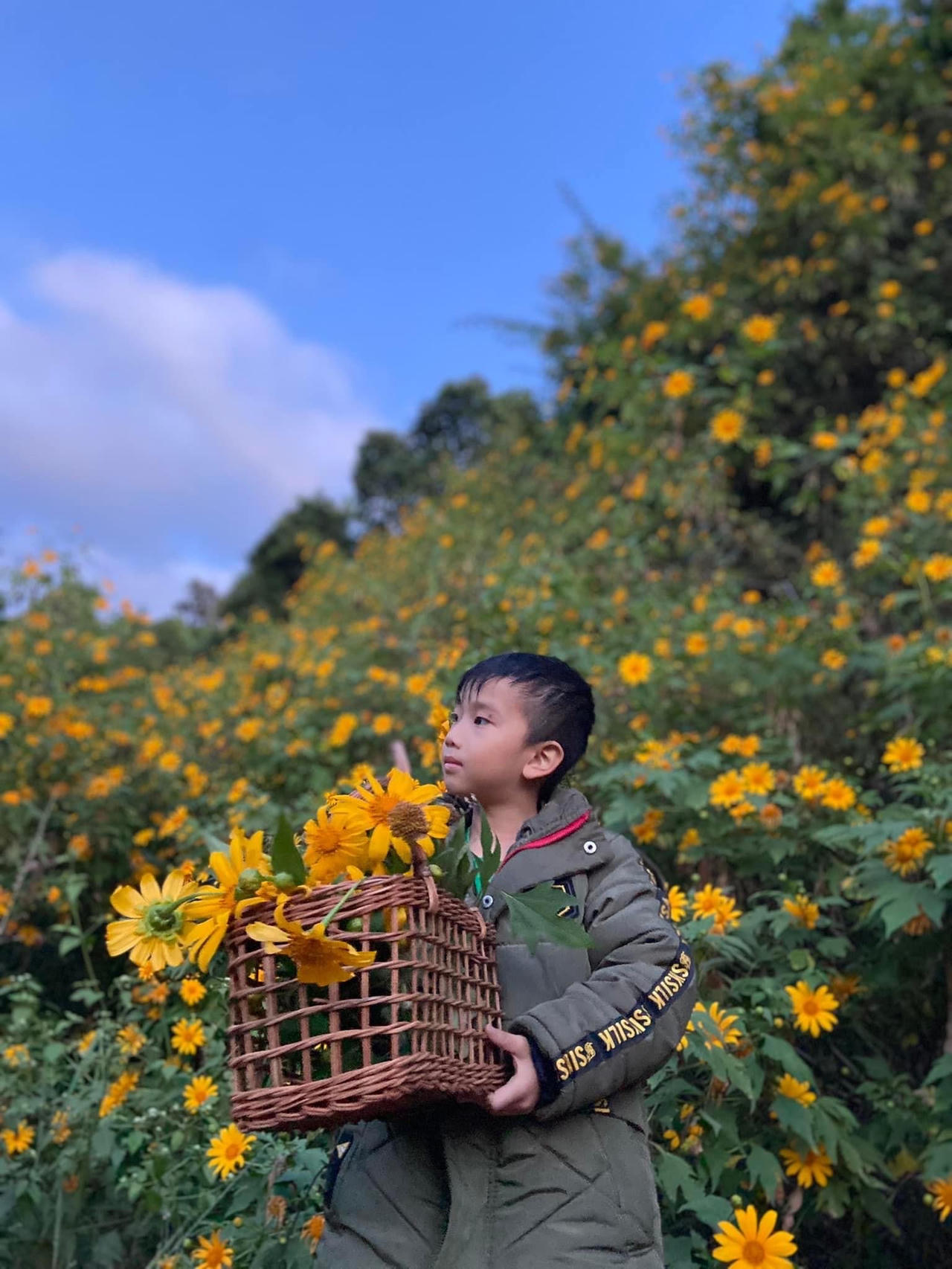 Vẻ đẹp bí ẩn của vùng đất “ngủ trong sương” ven Đà Lạt