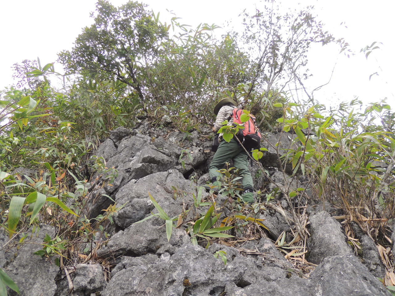 Hạnh phúc khi cống hiến vì thiên nhiên Việt Nam 