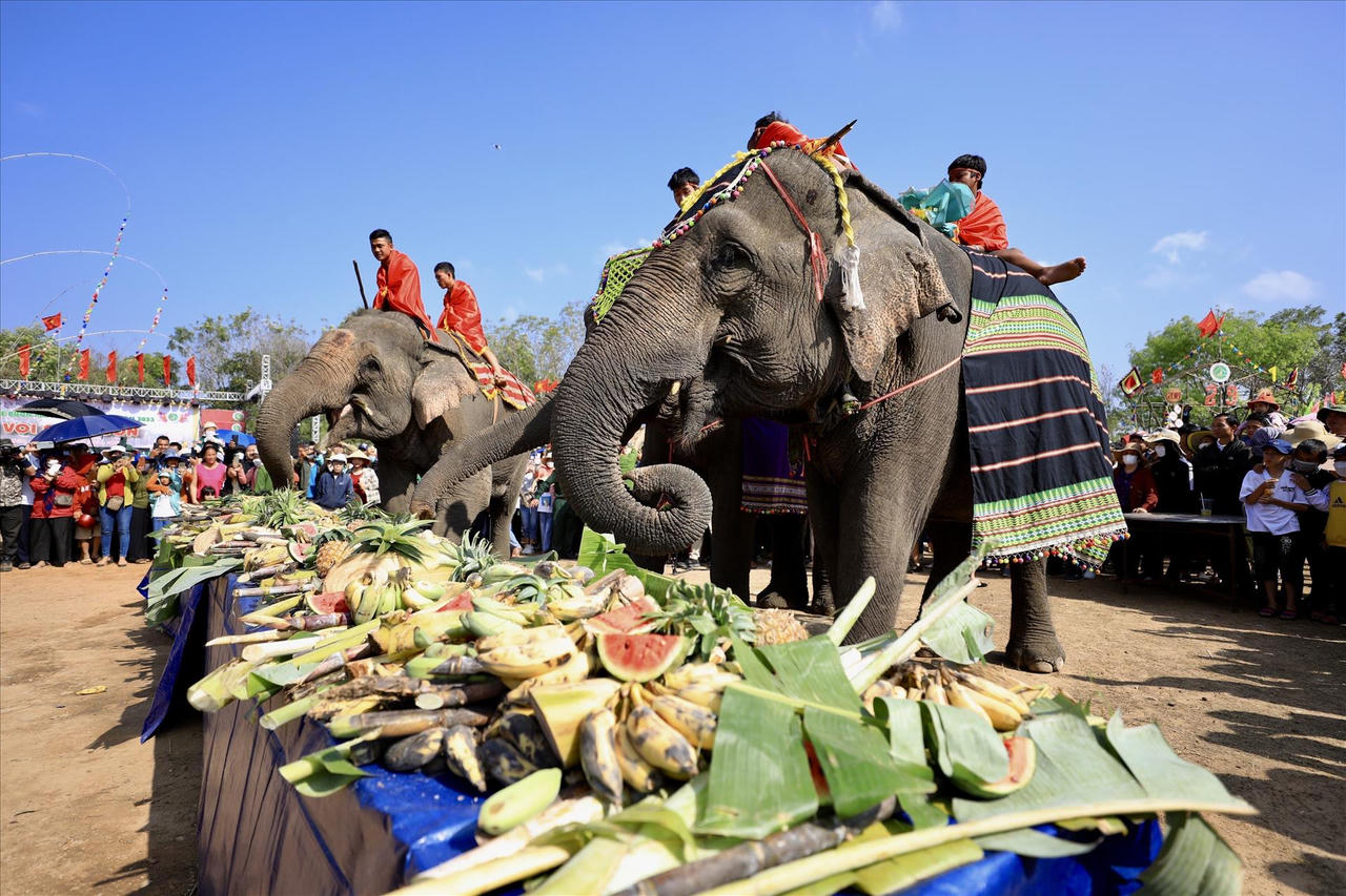 Bảo vệ biểu tượng văn hóa Tây Nguyên