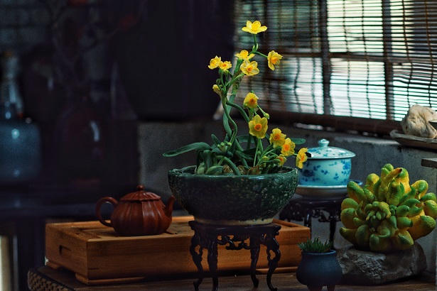 Tạo dáng hoa thủy tiên, nét văn hóa tao nhã của người Hà thành