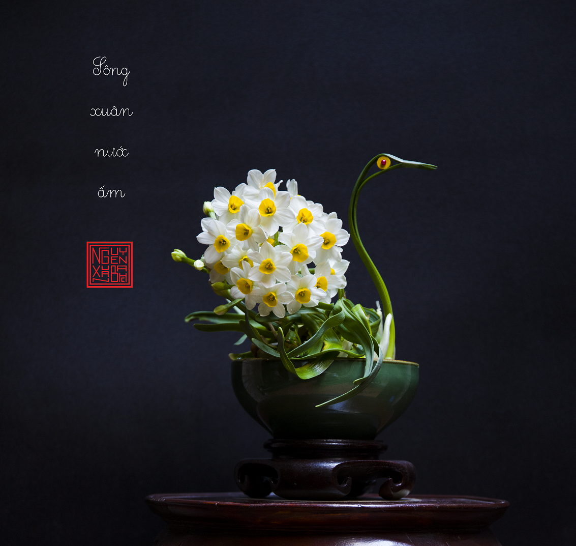 Tạo dáng hoa thủy tiên, nét văn hóa tao nhã của người Hà thành