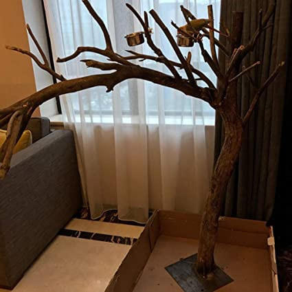 Chuyên gia phong thủy điểm tên 4 thứ không nên đặt ở phòng khách