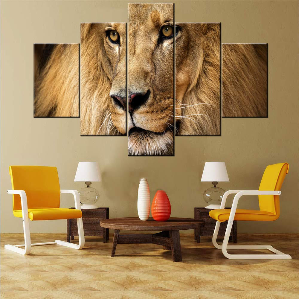 Chuyên gia phong thủy điểm tên 4 thứ không nên đặt ở phòng khách