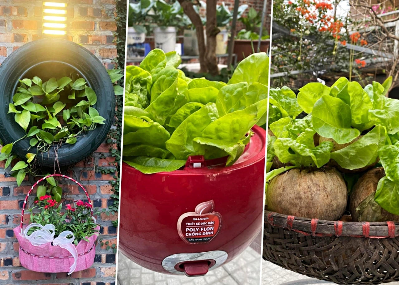 Nữ kế toán về hưu biến rác thải thành khu vườn xanh tươi hoa trái