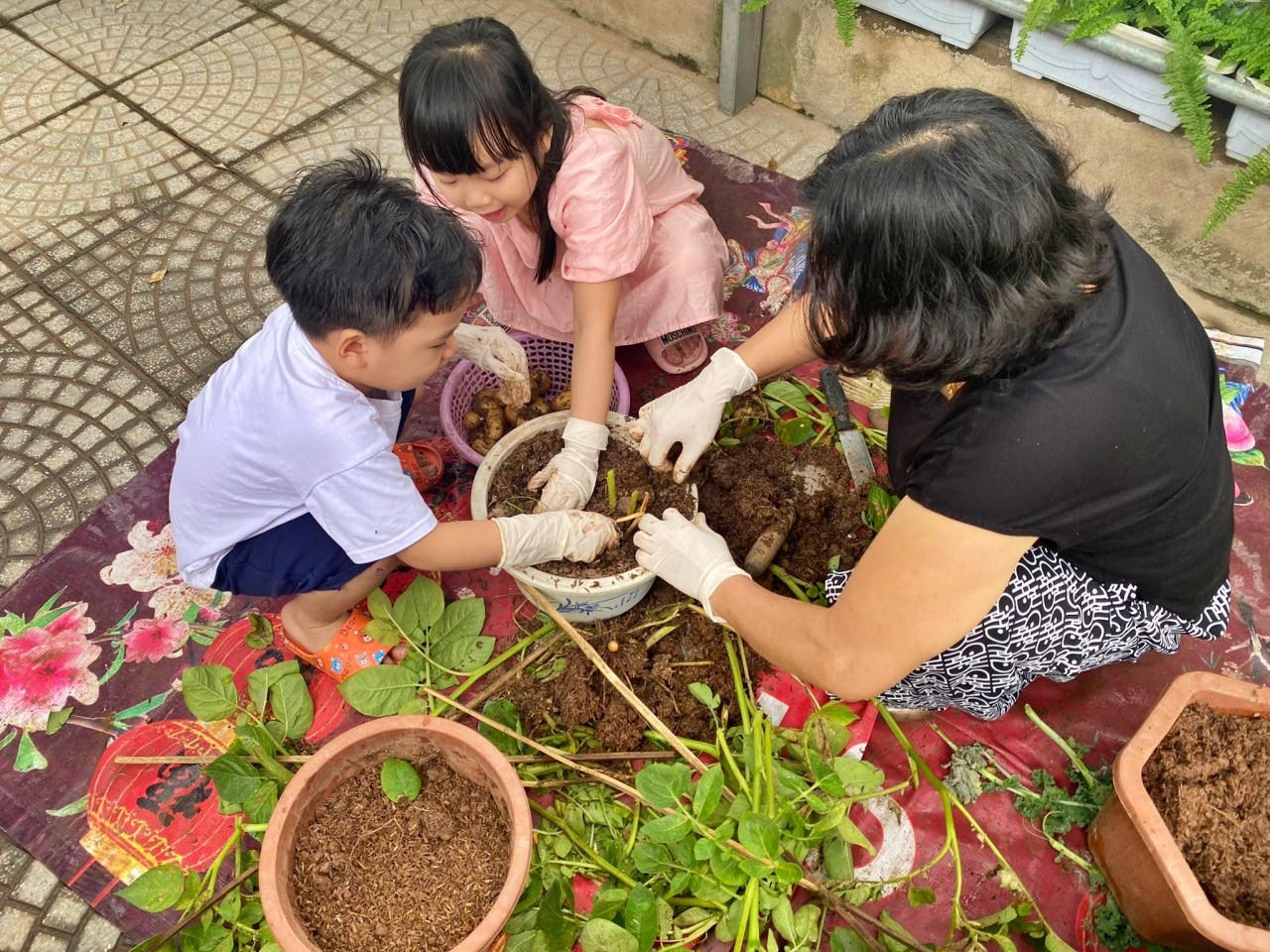 Nữ kế toán về hưu biến rác thải thành khu vườn xanh tươi hoa trái