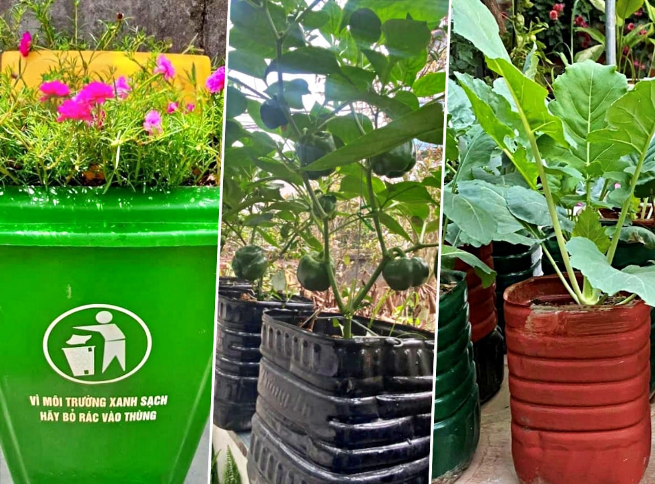 Nữ kế toán về hưu biến rác thải thành khu vườn xanh tươi hoa trái