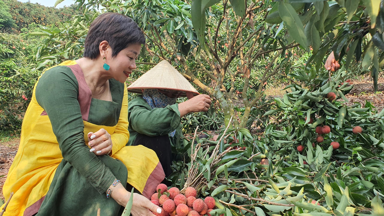 Có một "miệt vườn trái cây" cách không xa Hà Nội